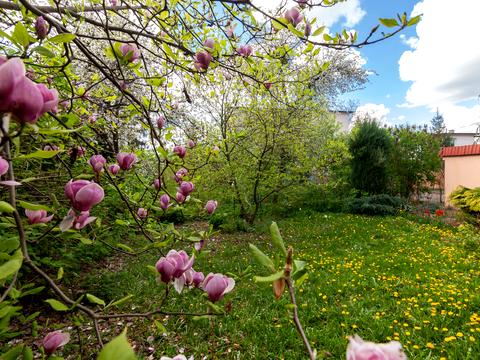 дом по адресу Херсонская ул. (Кибальчича), 15