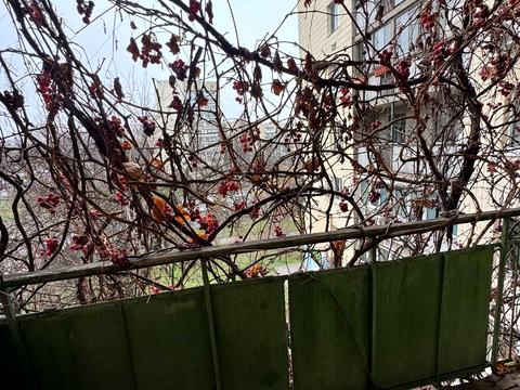 квартира за адресою Науки просп., 15