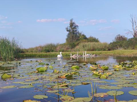 будинок за адресою Острівна вул.