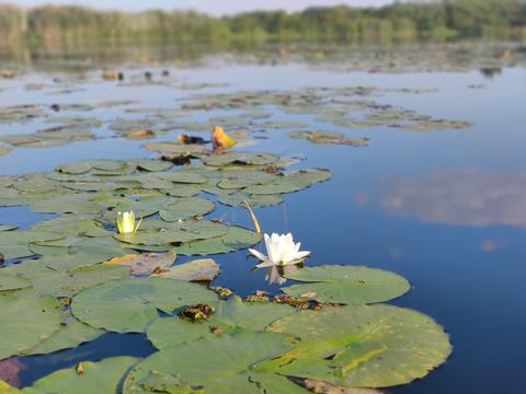 будинок за адресою Острівна вул.