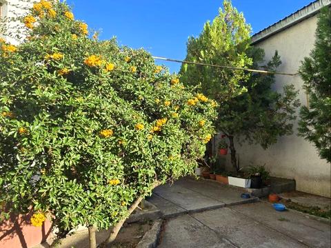 будинок за адресою Каштанова вул., 7