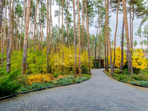 дом по адресу Центральная ул.