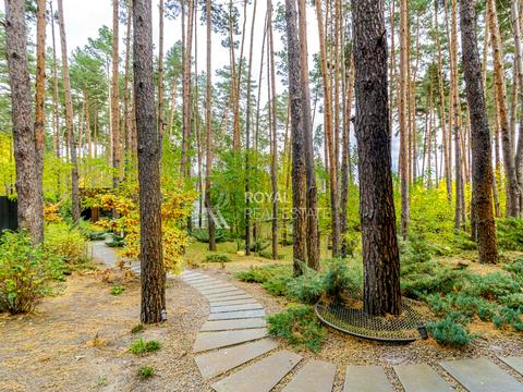 дом по адресу Центральная ул.