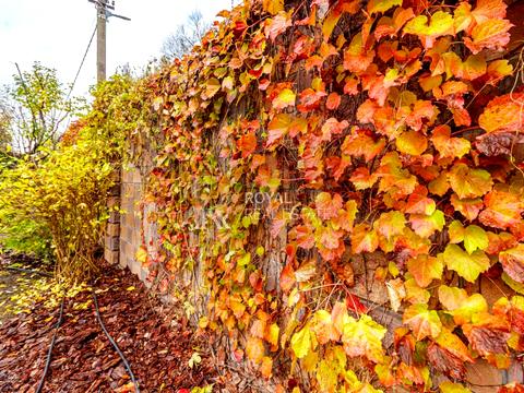 будинок за адресою Продольна, 1