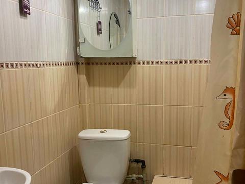 квартира по адресу Большая Панасовская ул. (Котлова), 108