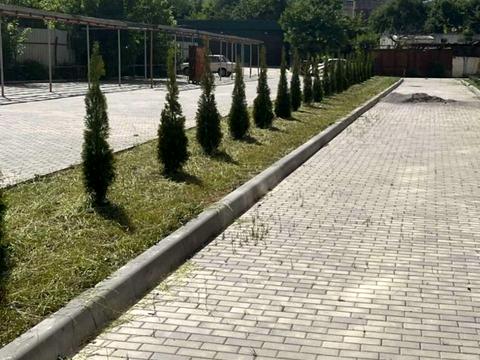 квартира за адресою Кушнірука вул. (Гастелло), 18