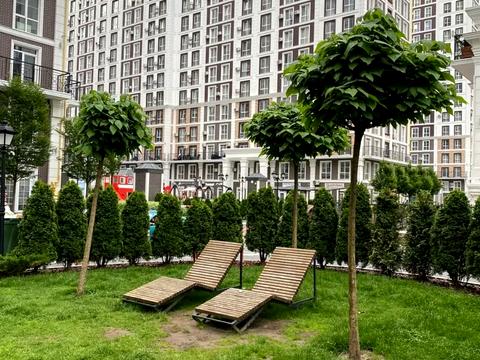 квартира за адресою Михайла Максимовича вул. (Онуфрія Трутенка), 26-Б