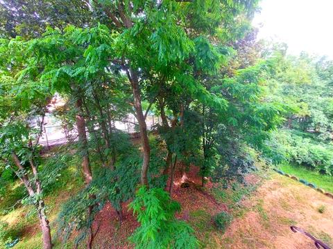 квартира по адресу Джона Маккейна ул. (Кудри Ивана), 38-А