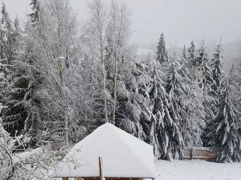 дом по адресу Діл, 183