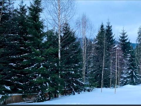 дом по адресу Діл, 183