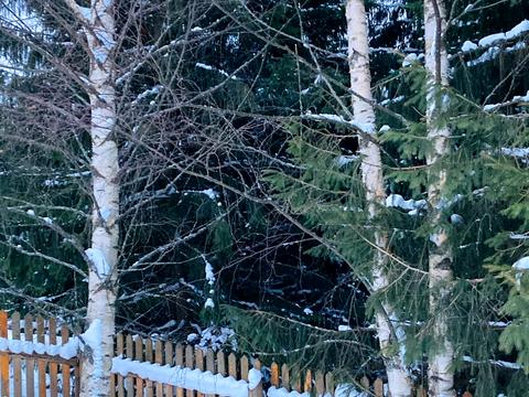 дом по адресу Діл, 183