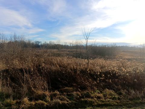 ділянка за адресою Басівська, 17