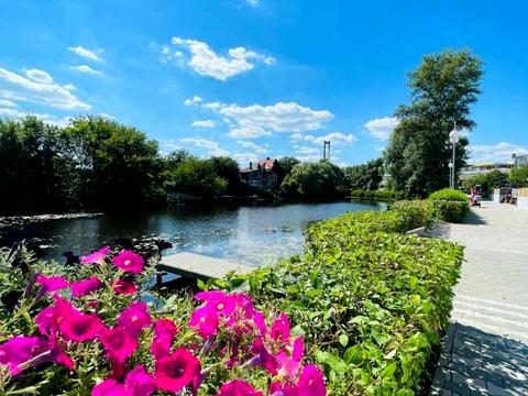 квартира по адресу Алимпия Галика ул., 75