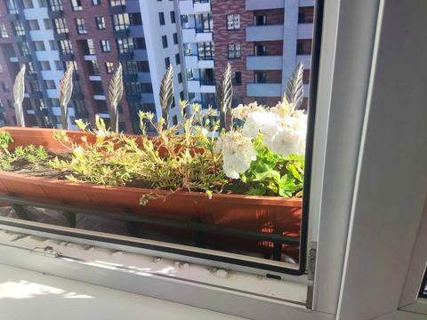 квартира по адресу Валерия Лобановского просп., 150