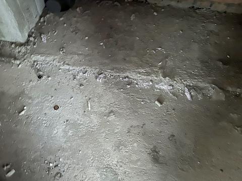 квартира по адресу с. Ходосовка, Феодосия Печерского ул. (Піонерська), (Будинок)