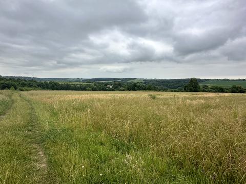 участок по адресу 