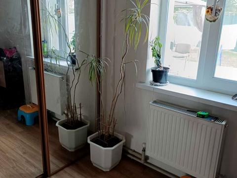 дом по адресу Ашхабадская ул. (Ашхабадская)