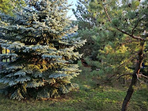 будинок за адресою Крупської