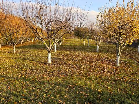 будинок за адресою Крупської