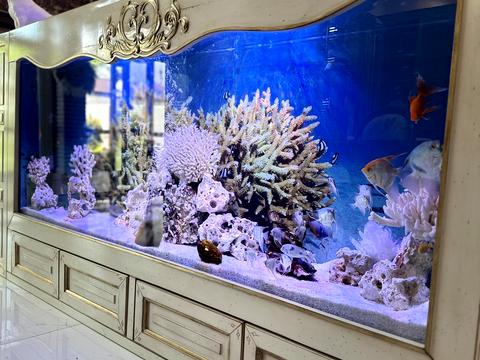 будинок за адресою Рейдовый переулок