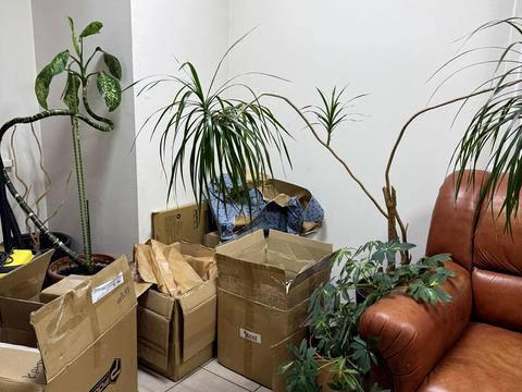 комерційна за адресою Коноплянська вул., 18