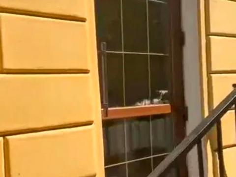 коммерческая по адресу Канатная ул., 5