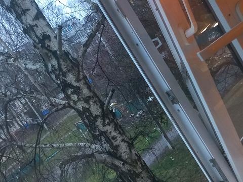 квартира по адресу Романа Атаманюка ул., 37