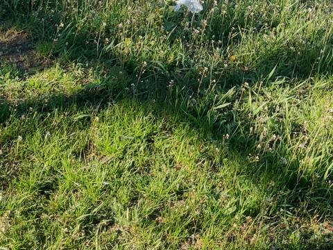 ділянка за адресою Медова вул., 246