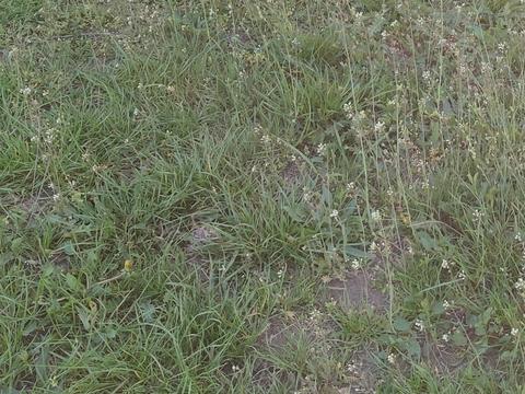 ділянка за адресою Медова вул., 246