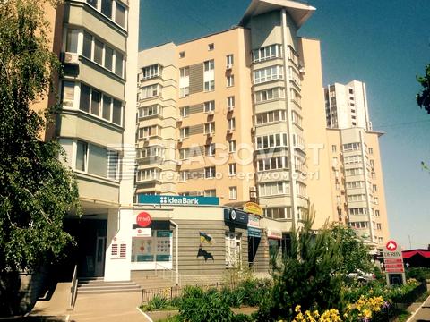 комерційна за адресою Раїси Окіпної вул., 4-А