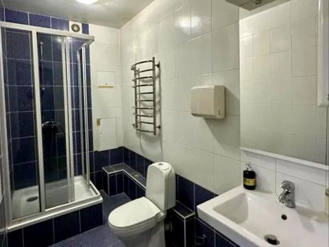 комерційна за адресою Раїси Окіпної вул., 4-А