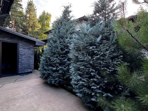 дом по адресу Ірпінський луг, 9