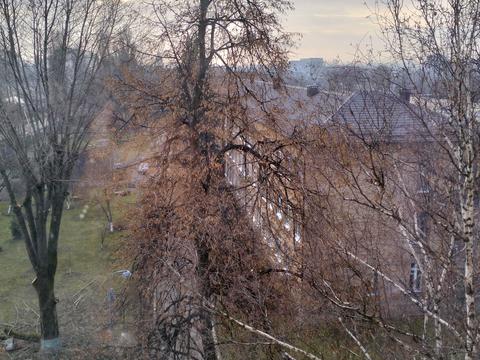 квартира по адресу Новополевая ул., 106-А