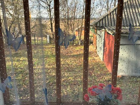 будинок за адресою федика, 520