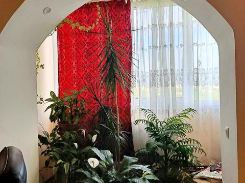 квартира за адресою Пасічна вул., 41