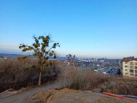 дом по адресу вул. Щаслива