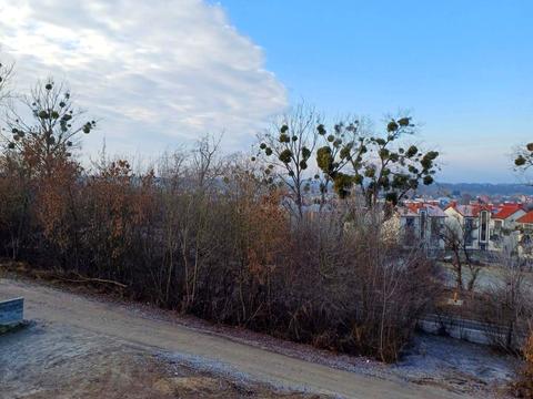 дом по адресу вул. Щаслива