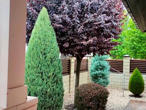 будинок за адресою Паркова