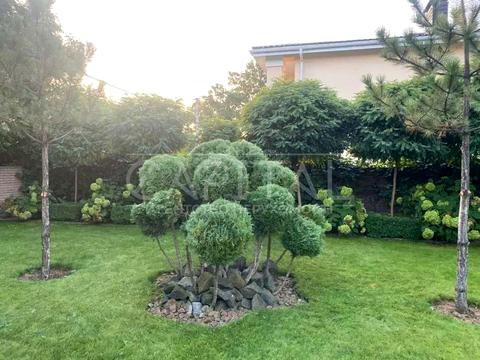 будинок за адресою Олегівська