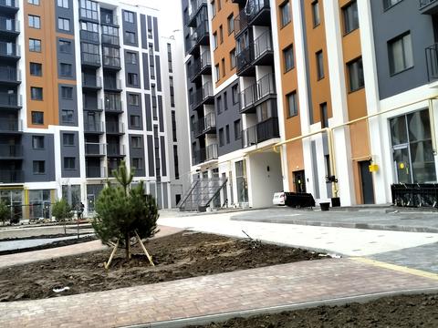 комерційна за адресою Келецька вул., 132а