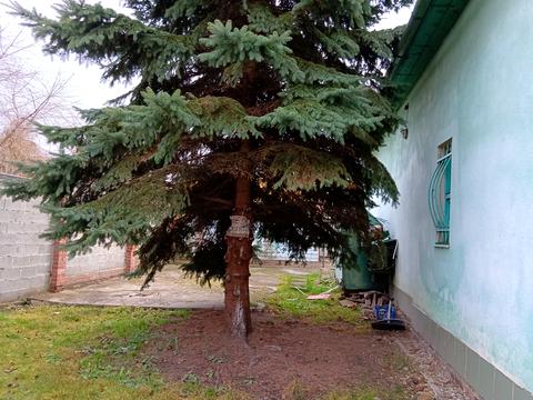 коммерческая по адресу Січових Стрільців ул., 287