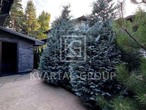 дом по адресу Ірпінський Луг, 9