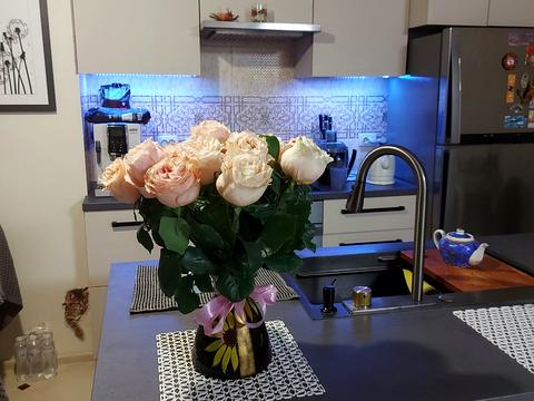 квартира за адресою Олени Теліги вул. (Лермонтова), 2-Д