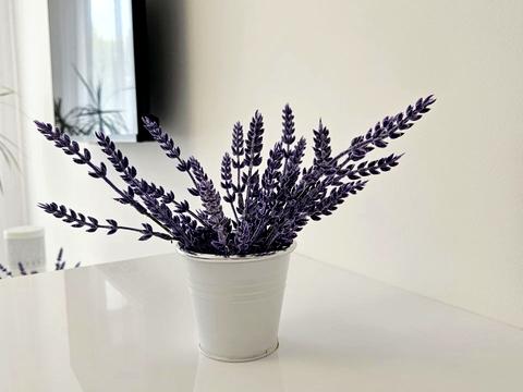 квартира за адресою Івано-Франківськ, Юліана Целевича вул., 4-В