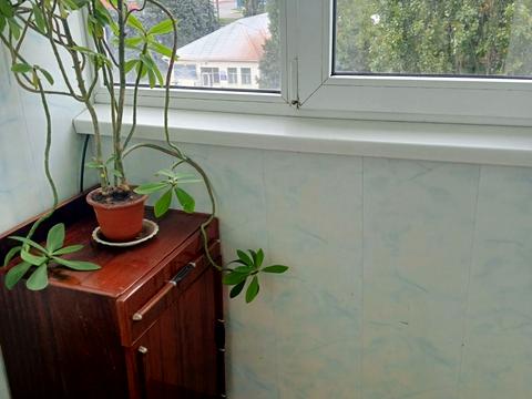 квартира за адресою с. Усатове, Залізничників вул., 5