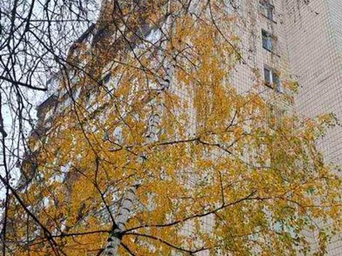 квартира за адресою Київ, Білоруська вул., 28-А