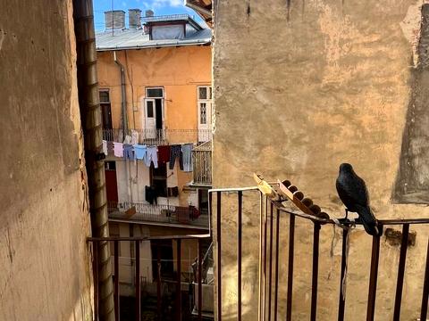 квартира по адресу Снопковская ул., 6