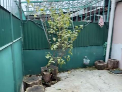 квартира по адресу 1-й Разумовский пер., 17