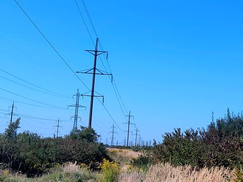 участок по адресу Пасечная ул.