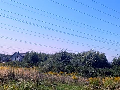 участок по адресу Пасечная ул.